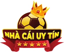 vnnhacaiuytin.net Logo